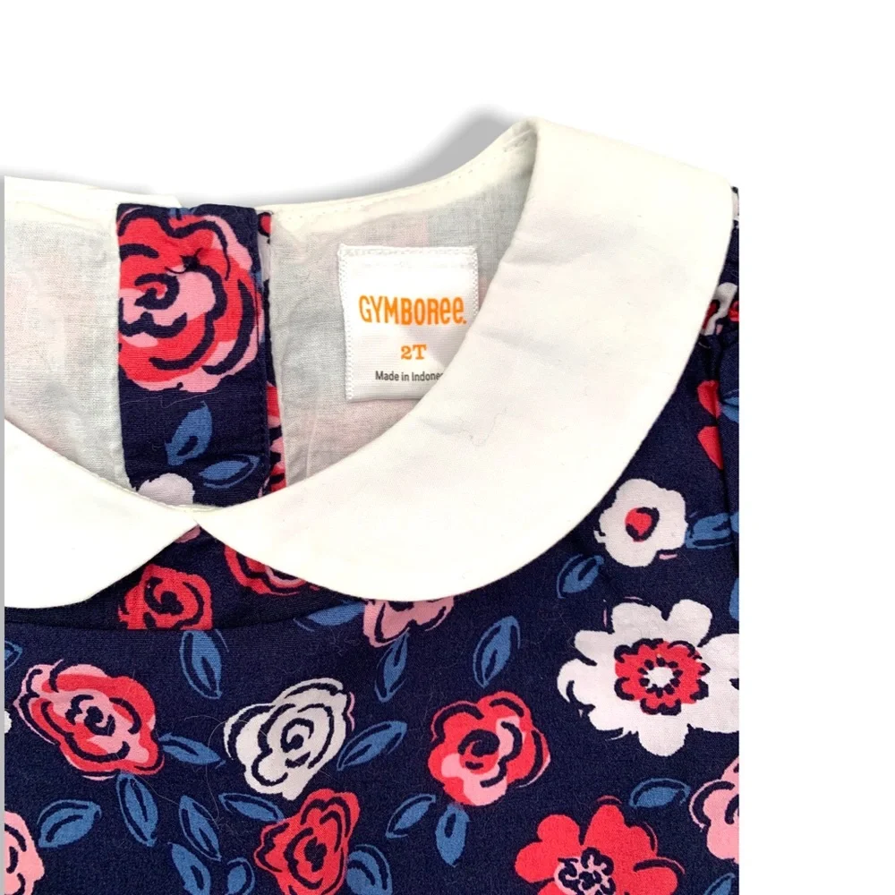Gymboree Toddler Girls 